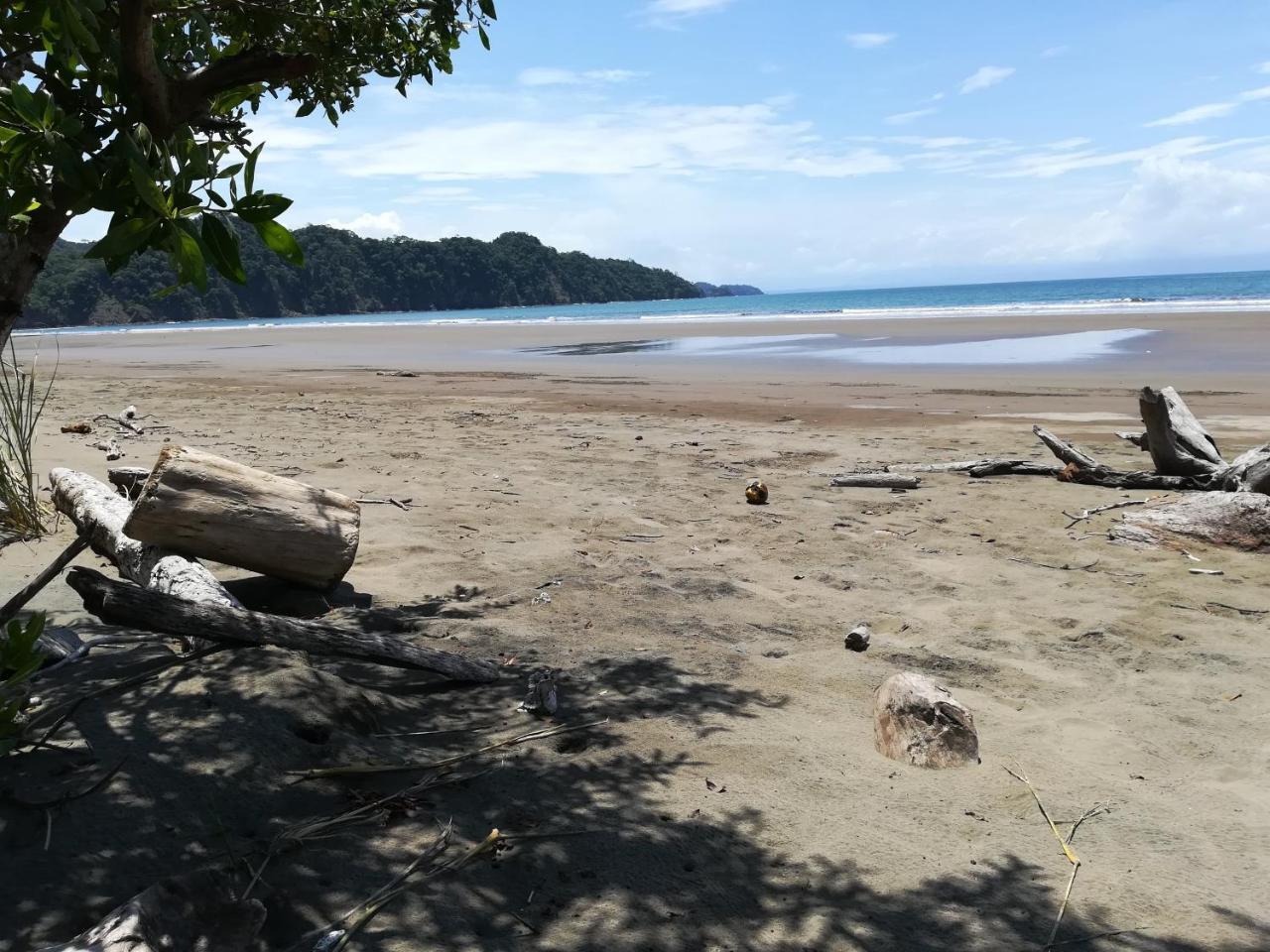 Hotel El Gecko & Tours 2*
