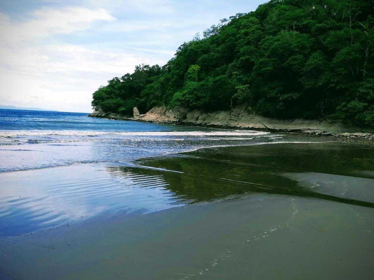El Gecko & Tours